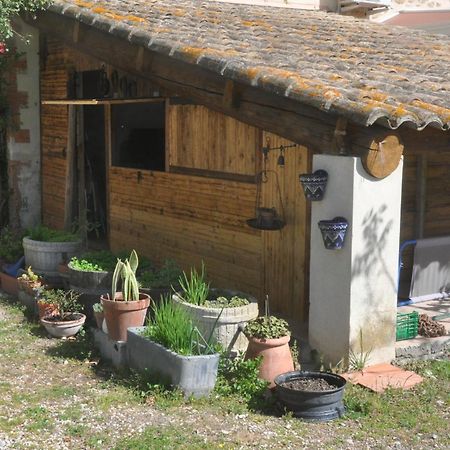 La Ferme De Tonton Jules 2 호텔 Entraigues-sur-la-Sorgue 외부 사진